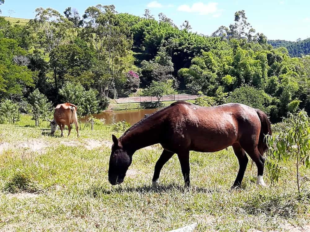 maridão matando a saudades de anda a cavalo - Picture of Hotel Fazendao,  Santa Branca - Tripadvisor